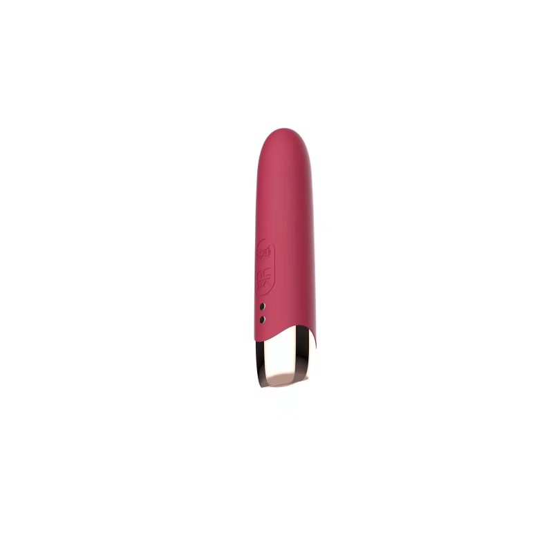 Mini Vibrating Bullet